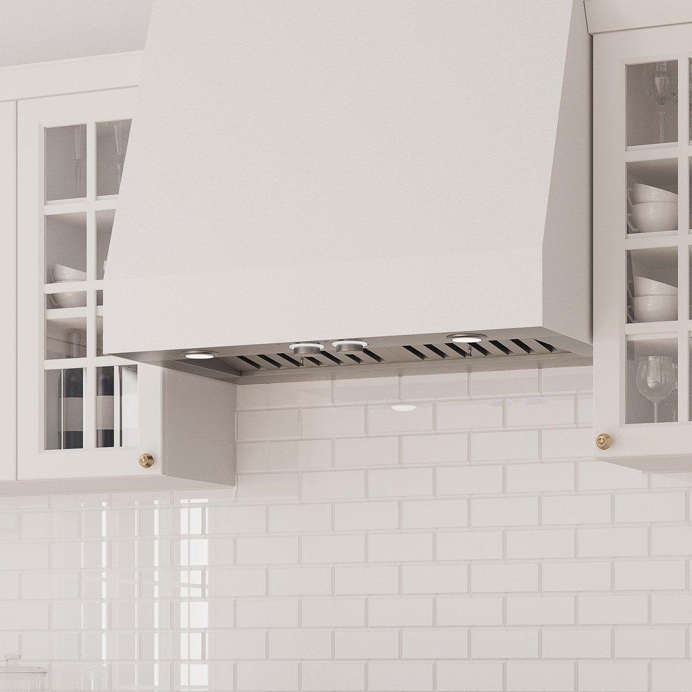 Avallon Stainless Steel Built-in Range Hood in Stainless Steel 