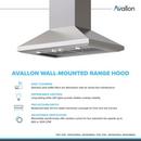 Avallon Stainless Steel Built-in Range Hood in Stainless Steel 