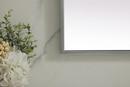 24 in. x 36 in. Rectangular Mirror in  Silver 