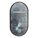 18 in. Oval Lighted Mirror in Matte Black Powder Coat 