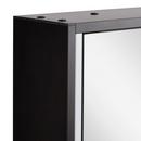Lighted Medicine Cabinet in Matte Black Powder Coat 