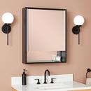 Lighted Medicine Cabinet in Matte Black Powder Coat 