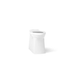 Elongated Skirted Toilet Bowl in White
