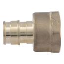 1/2 in. X 1/2 in. BRS FNPT Adapter 