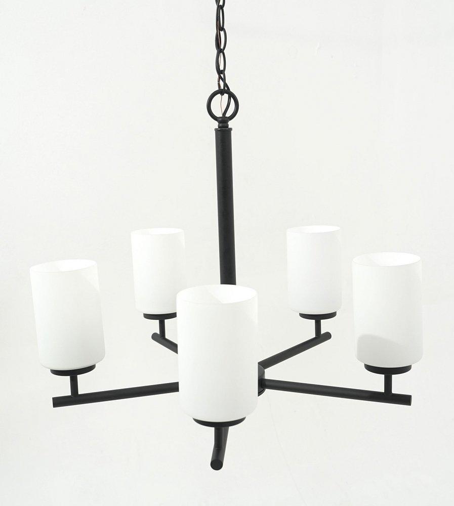 5-Light Chandelier in Matte Black 