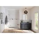 Delta Faucet Lumicoat Chrome Steam Generator 240V 