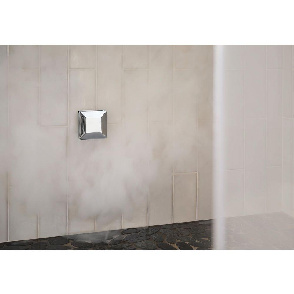 Delta Faucet Lumicoat Chrome Steam Generator 240V 