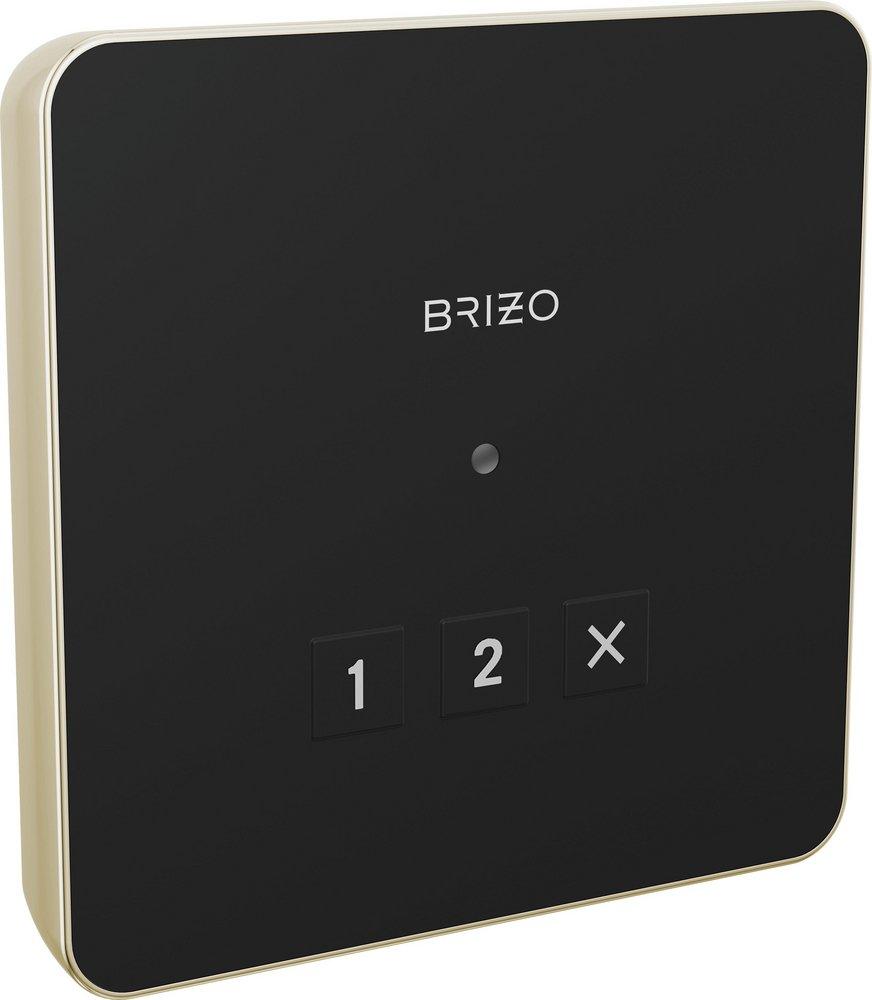 BRIZO OTHER: MYSTIX LINEAR SQUARE EXTERIOR CONTROL 