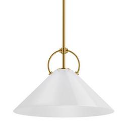 60W 2-Lights E26 Medium A19 Pendant in Polished Chrome