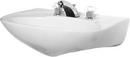 Briggs Plumbing Products White Pedestal Vessel 