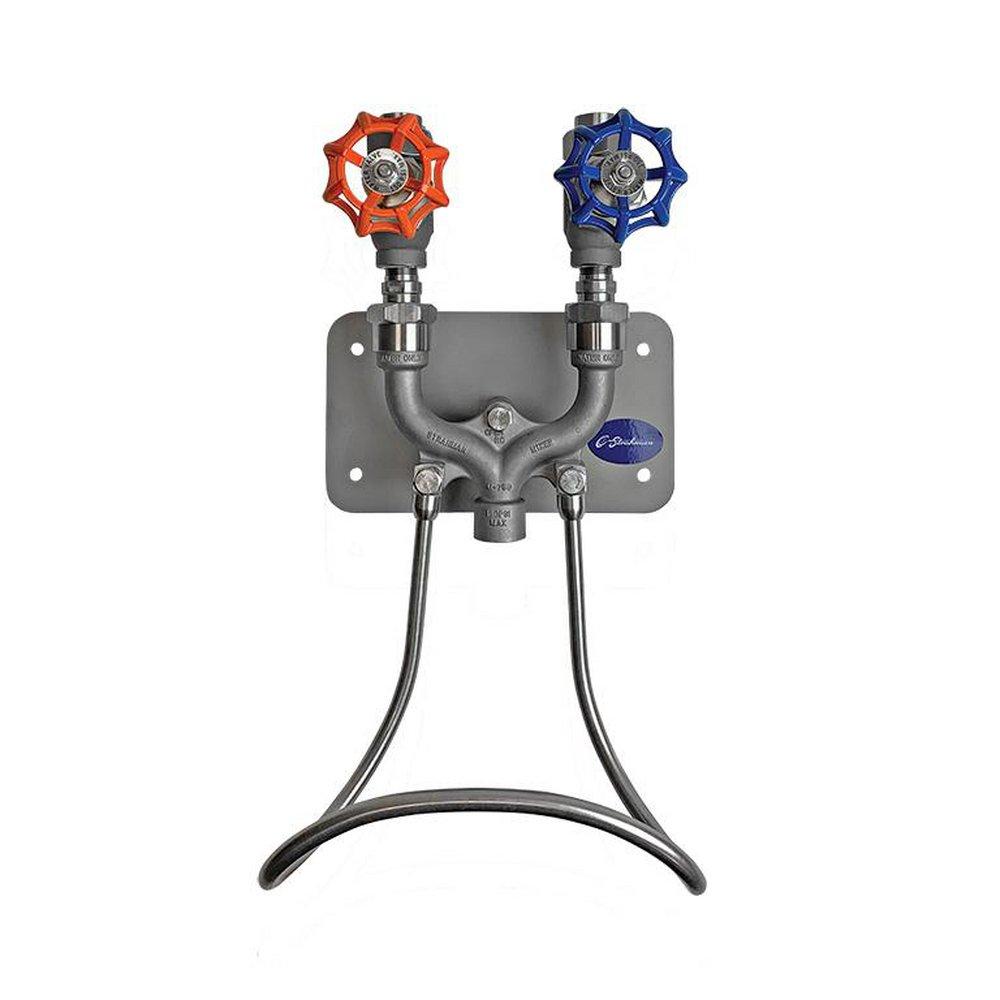 M-750 Stainless Wall-Mounted Globe Valve Top Entry 