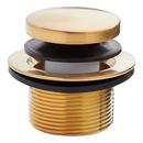 Signature Hardware Brushed Gold Toe-Tap Tub Drain 