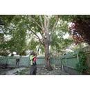 10 TELESCOPING POLE SAW CHAIN 