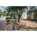 10 TELESCOPING POLE SAW GUIDE BAR 