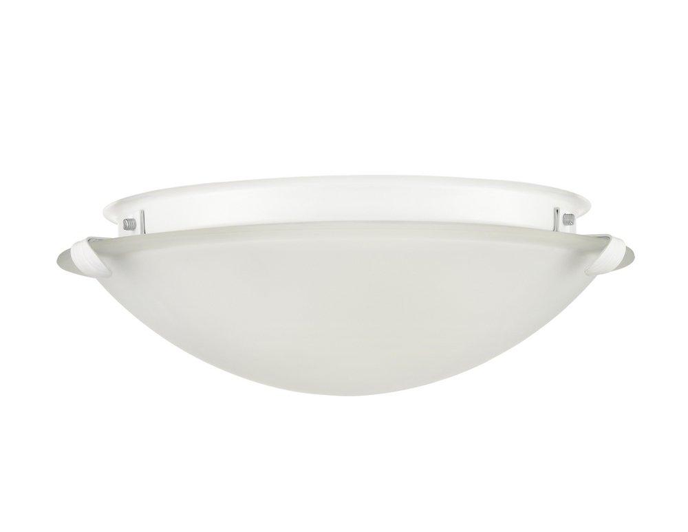 2-Light Flush Mount Ceiling Light in Matte White 