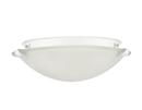 2-Light Flush Mount Ceiling Light in Matte White 