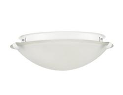 2-Light Flush Mount Ceiling Light in Matte White
