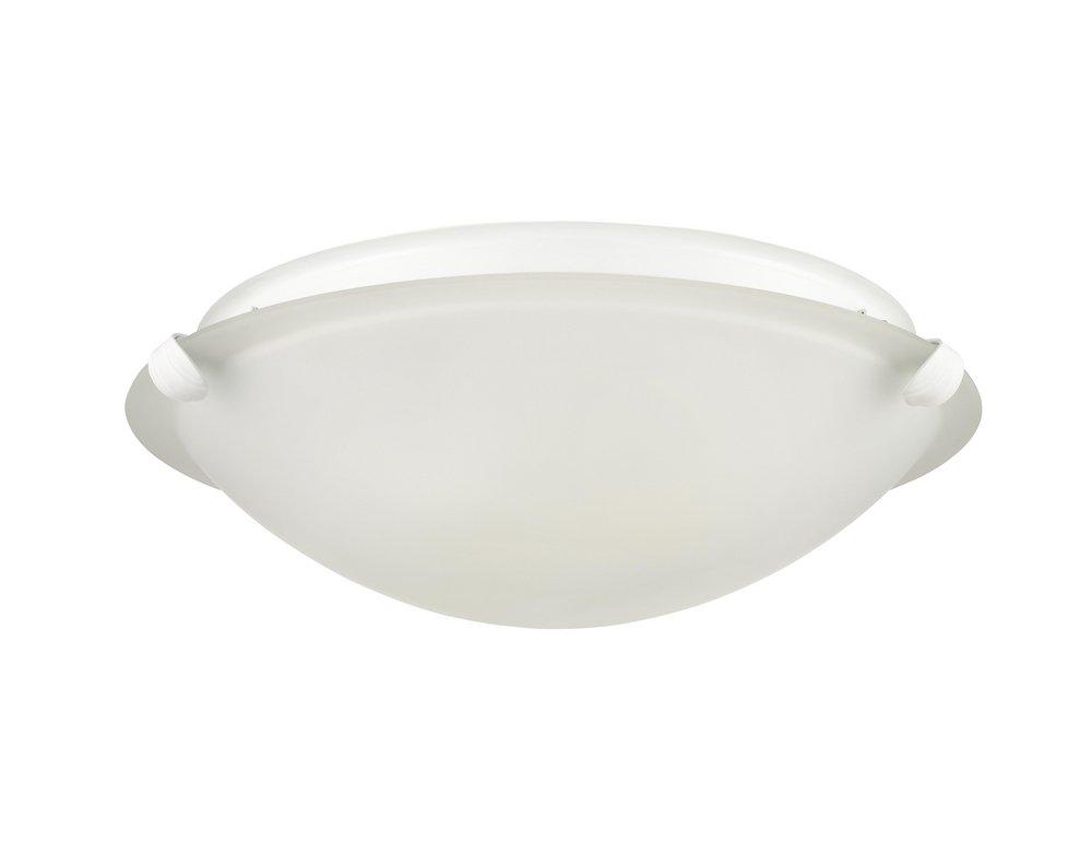2-Light Flush Mount Ceiling Light in Matte White 