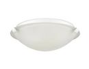2-Light Flush Mount Ceiling Light in Matte White 