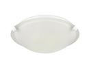2-Light Flush Mount Ceiling Light in Matte White 