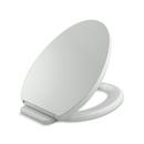 Elongated Closed Front Toilet Seat with Cover in Ice™ Grey