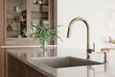 Tenet 1-Handle Pull-Down Kitchen Faucet in Polished Nickel 