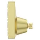 CCY 1.75 5F SHWRHD MODERN SHOWER BG 