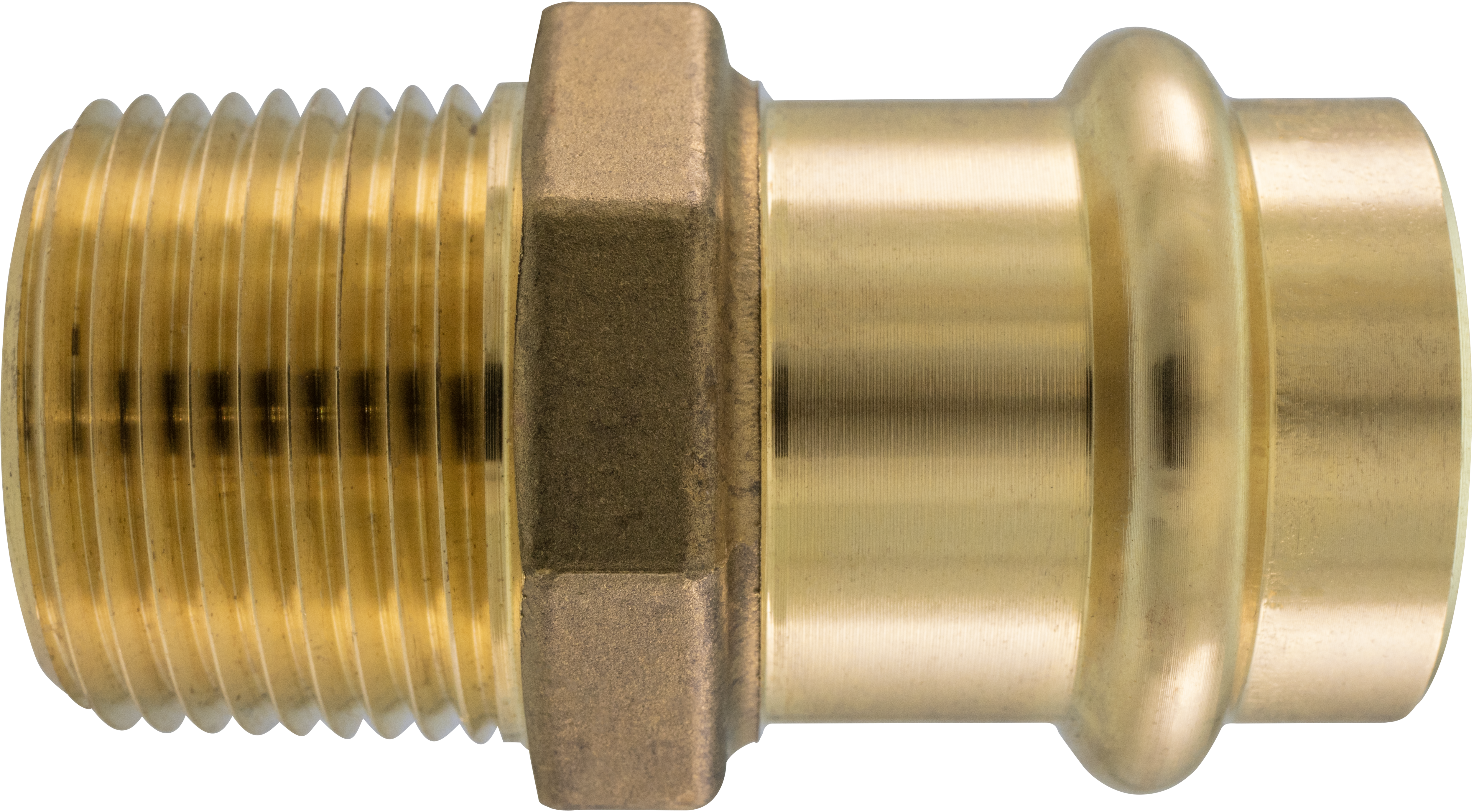 PROFLO&reg; Brass Male Thread Adapter 