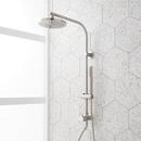 20 in. Shower Rail Set in Brushed Nickel - Hand Shower, Hose and Showerhead Included