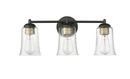 3-Light Vanity Fixture in Matte Black 