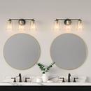3-Light Vanity Fixture in Matte Black 