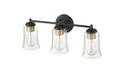 3-Light Vanity Fixture in Matte Black 
