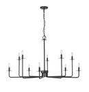 Millennium Lighting Matte Black 10-Light Chandelier Ceiling Light 
