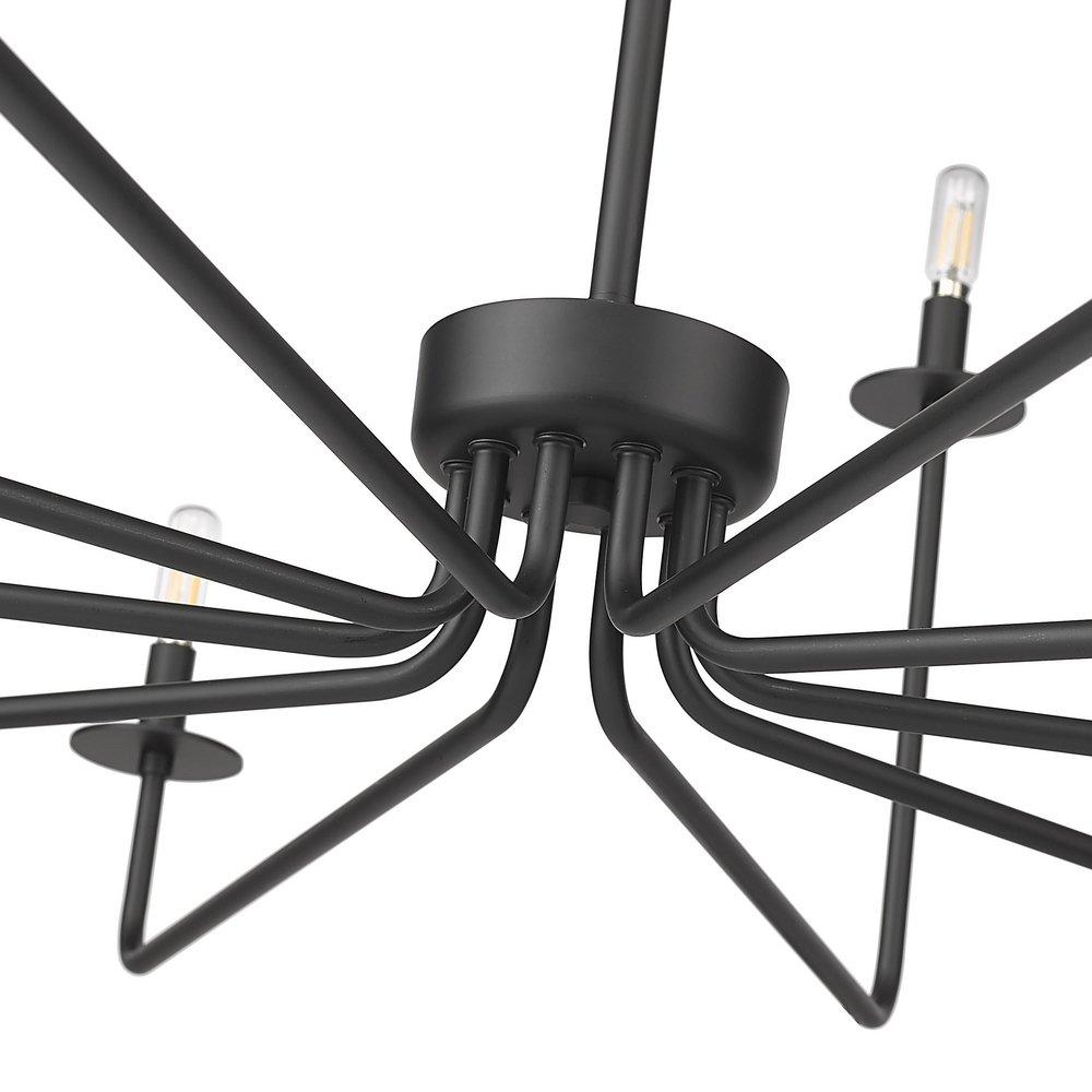 Millennium Lighting Matte Black 10-Light Chandelier Ceiling Light 