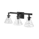 3-Light Vanity Fixture in Matte Black 