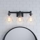3-Light Vanity Fixture in Matte Black 
