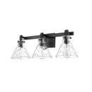 3-Light Vanity Fixture in Matte Black 