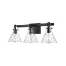 3-Light Vanity Fixture in Matte Black 