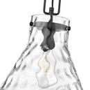 1-Light Pendant Light in Matte Black 
