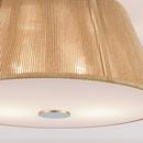 2-Light Flush Mount Ceiling Light in Brushed Nickel 