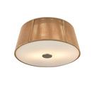 2-Light Flush Mount Ceiling Light in Brushed Nickel 