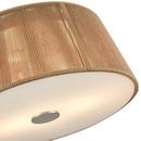 2-Light Flush Mount Ceiling Light in Brushed Nickel 