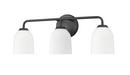 3-Light Vanity Fixture in Matte Black 