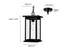 1-Light Outdoor Hanging Lantern Powder Coated Black 