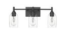 3-Light Vanity Fixture in Matte Black