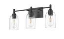 3-Light Vanity Fixture in Matte Black 