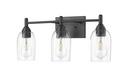 3-Light Vanity Fixture in Matte Black 
