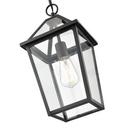 1-Light Outdoor Hanging Lantern in Textured Black 
