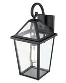 100W Incandescent 1-Light 17.5in. Outdoor Wall Lantern in Black / Clear Glass 