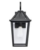 1-Light Outdoor Wall Lantern in Black